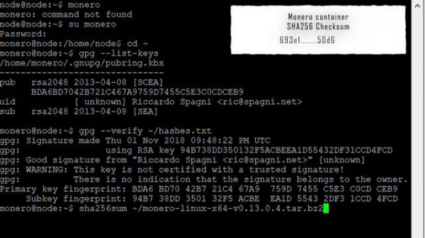 How to build a monero full (remote) node on ubuntu linux server