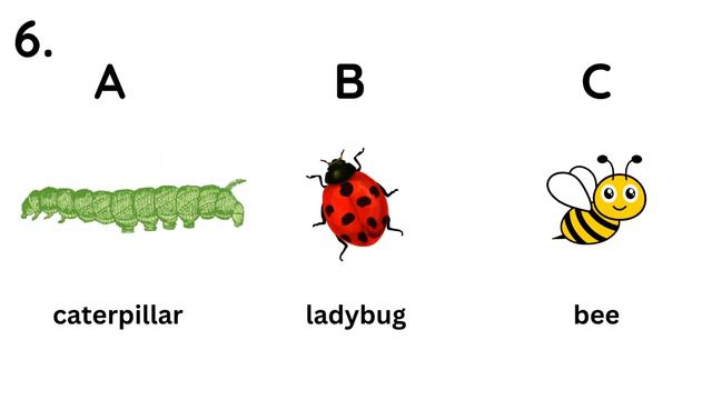 ESL - English Listening Test For Kids -  Level Two - Test 1