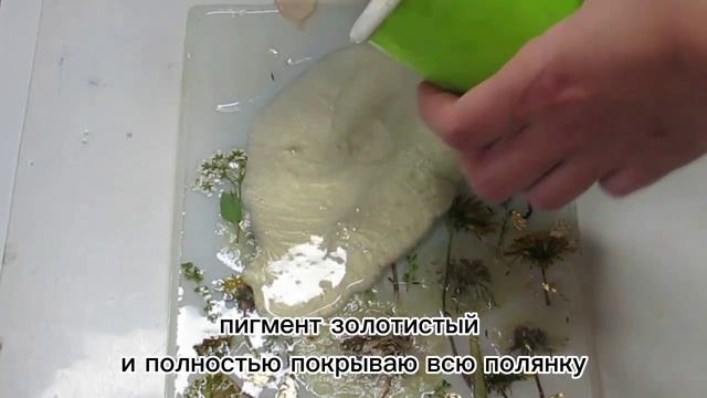 одуванчики!!!новый урожай -все в дело!!!