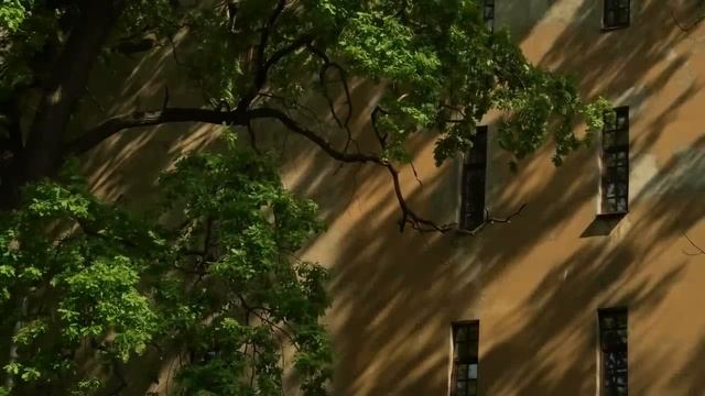 Бросила ДЕВУШКА? Ушла ЖЕНА? ВОТ что НУЖНО ПОНЯТЬ, чтобы БОЛЬШЕ НЕ ОШИБАТЬСЯ в ОТНОШЕНИЯХ смотреть онлайн