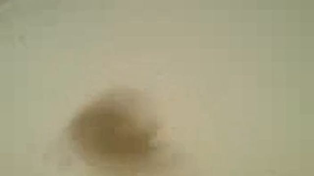crazy_hamster_2 смотреть онлайн