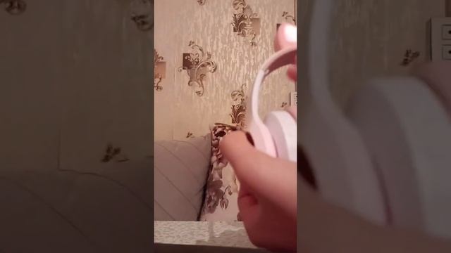 cat ear qulaqciq #kutuaçılımı смотреть онлайн