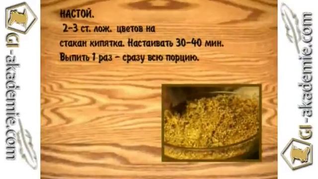 008 - Лечебные растения. смотреть онлайн