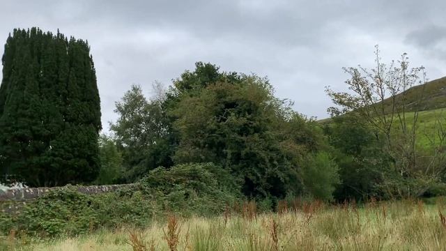 A celebration of nature,faith and music смотреть онлайн