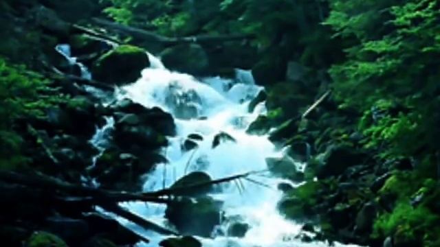 Музыка ❤ Сергей Грищук ☀ смотреть онлайн