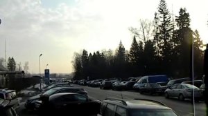 Птичий рынок в городе Истра