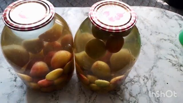 Ինչպե՞ս ճիշտ պատրաստել սալորի կոմպոտ/Как правильно приготовить сливовый компот? смотреть онлайн