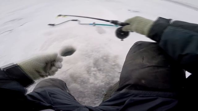 Снасть Димана сработала!!! Ловля судака на живца / малька на Волгоградском водохранилище смотреть онлайн