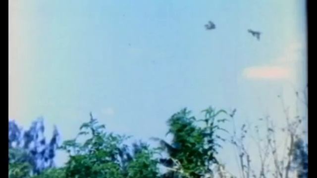 Engaveettu Ramayanam Tamil Movie Songs | Karthik , Illavarsi | Music Player Channel.... смотреть онлайн