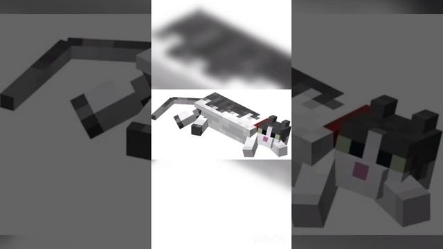 #рек#реки#рекомендации#minecraft#майнкрафт#мем#интересныефакты#мемы#memes#кот#коты#кошка#лайк смотреть онлайн