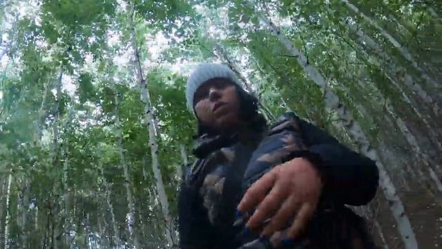 Ходим бродим по лесу в Курганской области в поисках грибов смотреть онлайн