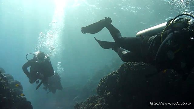 Египет ноябрь 2018(2) смотреть онлайн