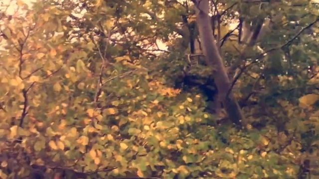 Vlog/Гора Утюг/Водопад смотреть онлайн
