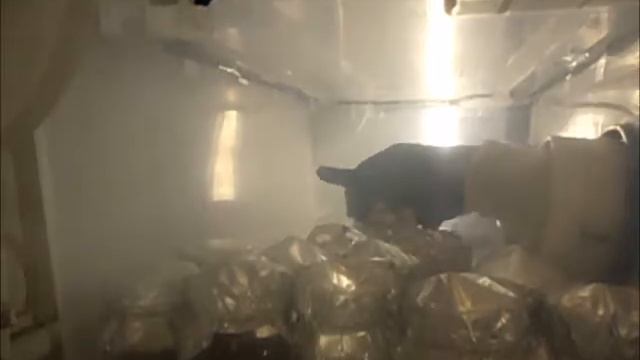 Reishi Spore Inoculation 2019 смотреть онлайн