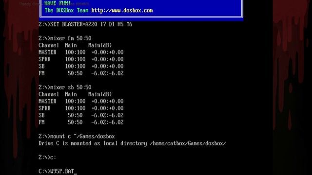 (win95) showing full install and test of windows 95 in dosbox {LINUX} {DOSBOX} смотреть онлайн