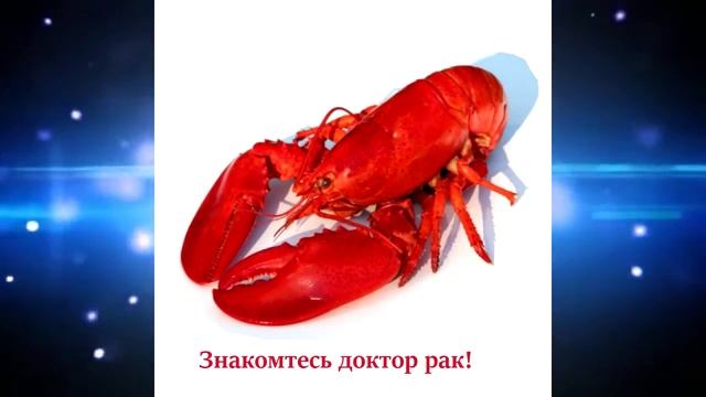 Интро Youtube смотреть онлайн
