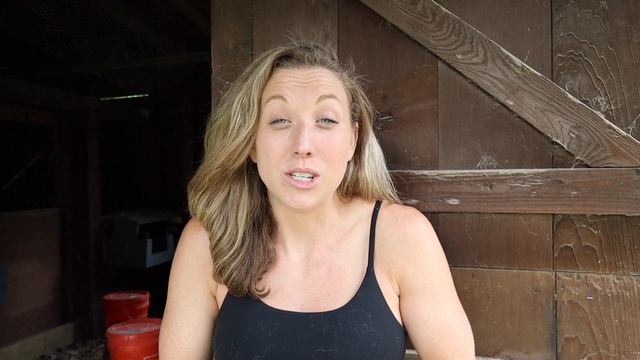 Reasons To NOT Add Guinea Fowl To Your Backyard Homestead - Cons Of Raising Guinea Fowl