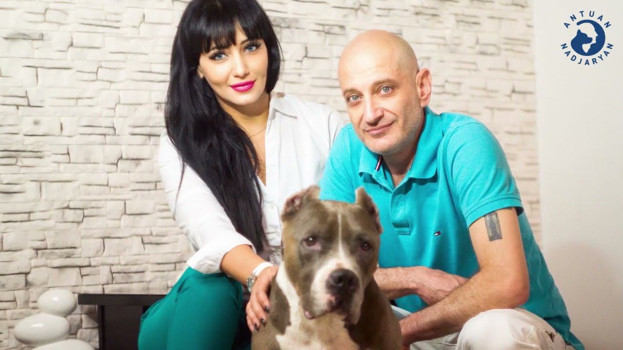 Секреты воспитания собак и не только смотреть онлайн