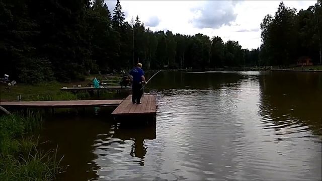Клёвое место, Лосиный остров, верхний пруд. смотреть онлайн