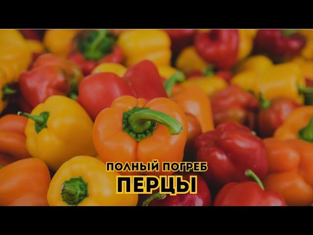 Перцы. Полный погреб // Выпуск 2 смотреть онлайн