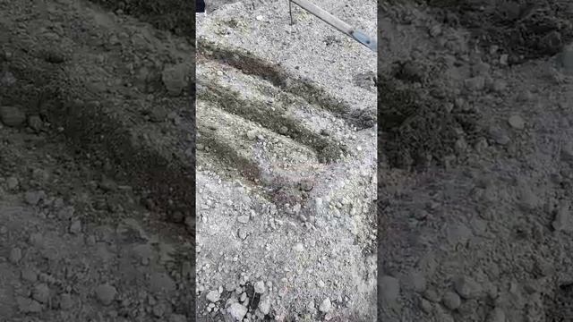 Вот так я высаживаю яровой и озимый чеснок весной!!! смотреть онлайн