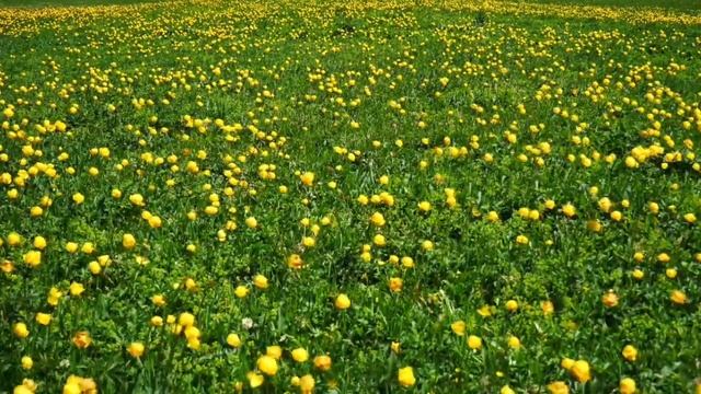 Пост в месяц Мухаррам и день Ашура /Шейх Халид Аль Фулейдж смотреть онлайн