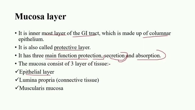 GIT system # ANATOMY AND PHYSIOLOGY #NOTES//NURSING BASED смотреть онлайн