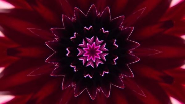 Абстракция калейдоскоп.The Splendor of Flowers Kaleidoscope Video