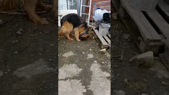 Влада прячет заначку смотреть онлайн