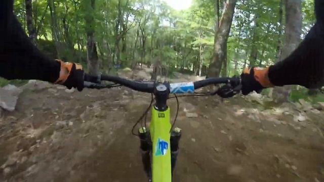 Beech mountain 2022 lower bermese python смотреть онлайн