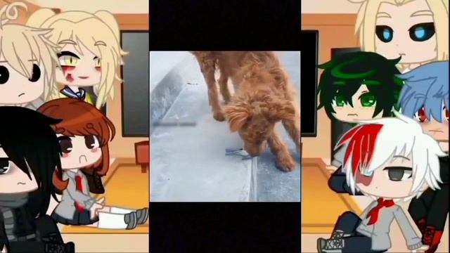 MHA/BNHA Character React to Deku's Pets + Mythical animal/Hand sea monster/Trend/BNHA/MHA/Gacha Clu смотреть онлайн