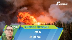 Лес в огне: в России зафиксировано около 200 пожаров