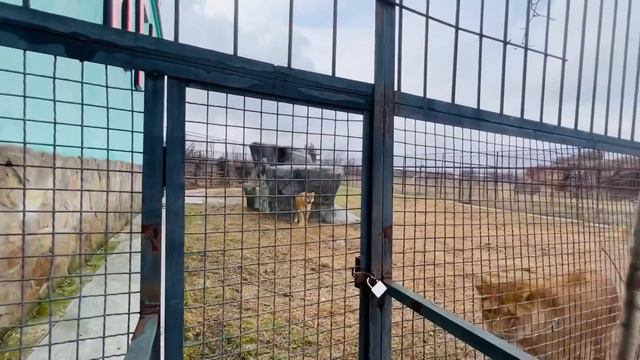 Как сейчас дела в Тайгане, в связи с сегодняшней ситуацией ? смотреть онлайн