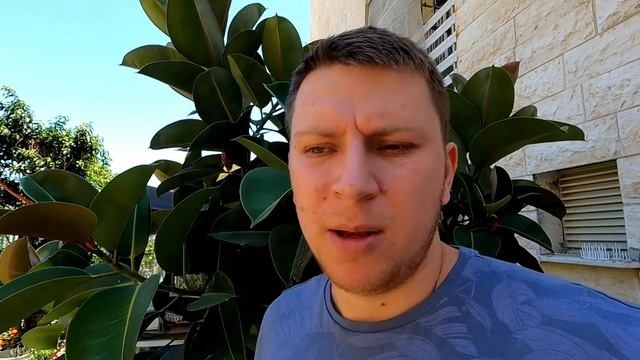 Работа в Израиле. Садовник в Израиле. #Израиль смотреть онлайн