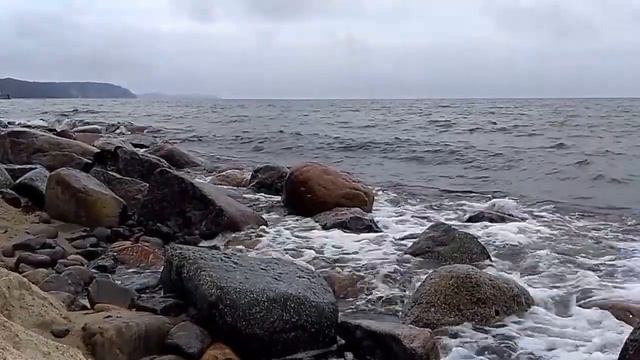 На берегах Балтийского моря смотреть онлайн