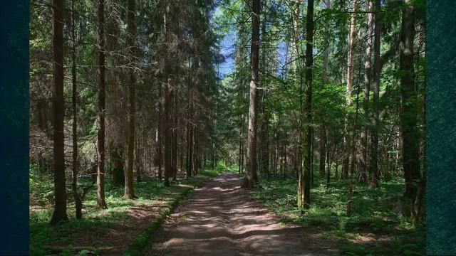 Ваша страна имеет ровную поверхность Вячеслав Котляров смотреть онлайн