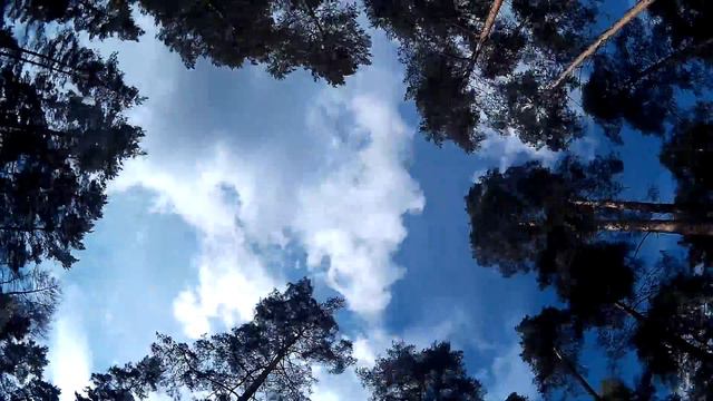 Небо за 3 минуты смотреть онлайн