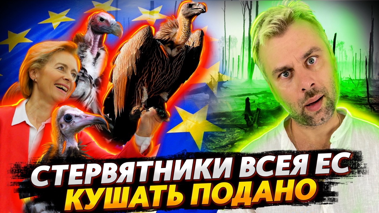 ПОДДЕРЖКА ПО-ЕВРОПЕЙСКИ, КАК ОНА ЕСТЬ ИЛИ КТО НЕ УСПЕЛ, ТОТ ОПОЗДАЛ