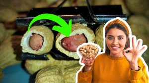 Продавец арахиса показал, как чистить быстро орехи канцелярским зажимом #52