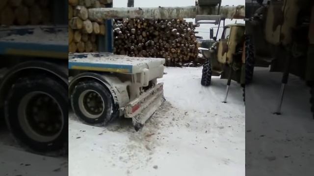 Погрузка березы кругляка в контейнер 20 футов смотреть онлайн