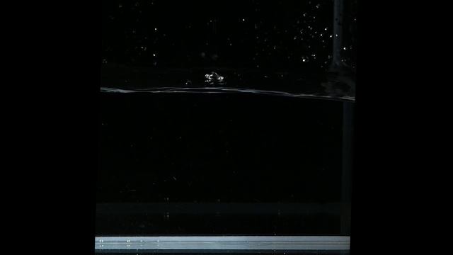 баночка махито смотреть онлайн