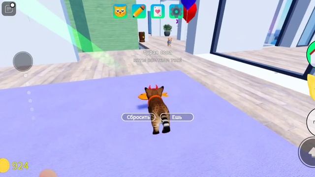 Бурая сова. игра с котятами смотреть онлайн