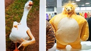 Фото подписчиков Фактории (159 часть)