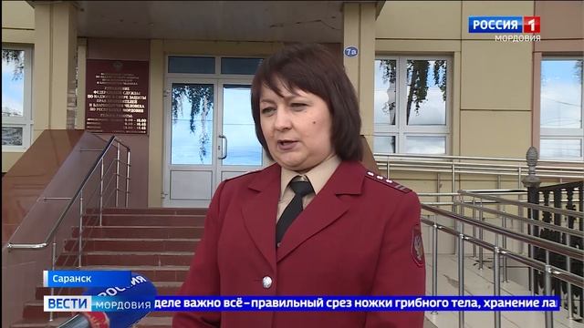 Как купить правильные грибы смотреть онлайн