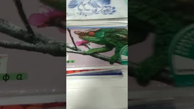 Глаз хамелеона смотреть онлайн