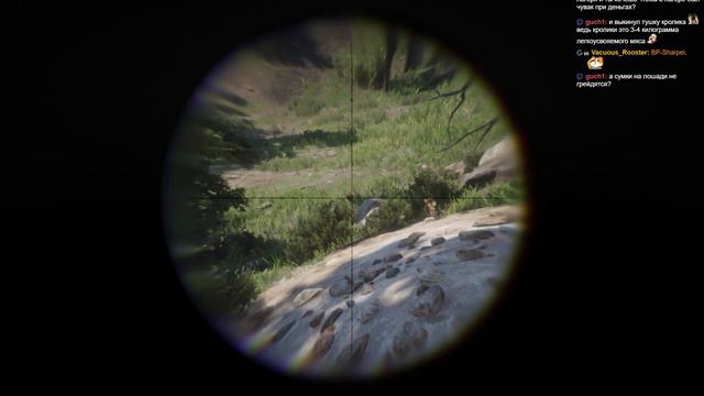 Red Dead Redemption 2 (часть 13) смотреть онлайн