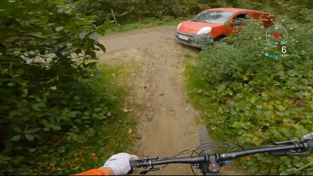 MTB Wienerwald Trails CLASSIC ⭐ Südtiroler + Schönstatt | Radon Swoop | MTB VLOG 2022 ?️ #89