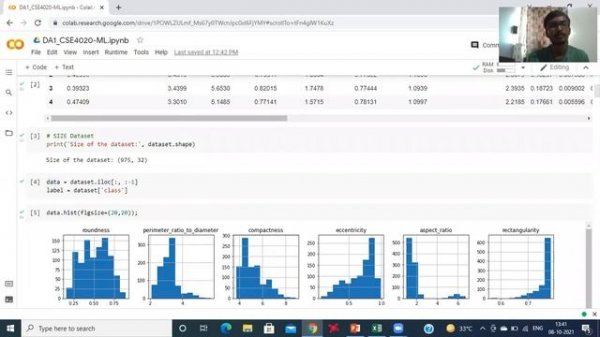 Learning Vector Quantization (LVQ)