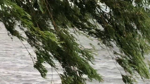 Hamburg: Alster смотреть онлайн