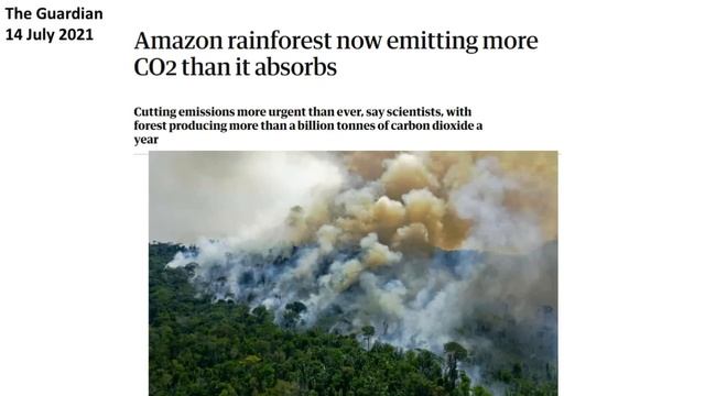 FEEDBACKS to Global Warming смотреть онлайн